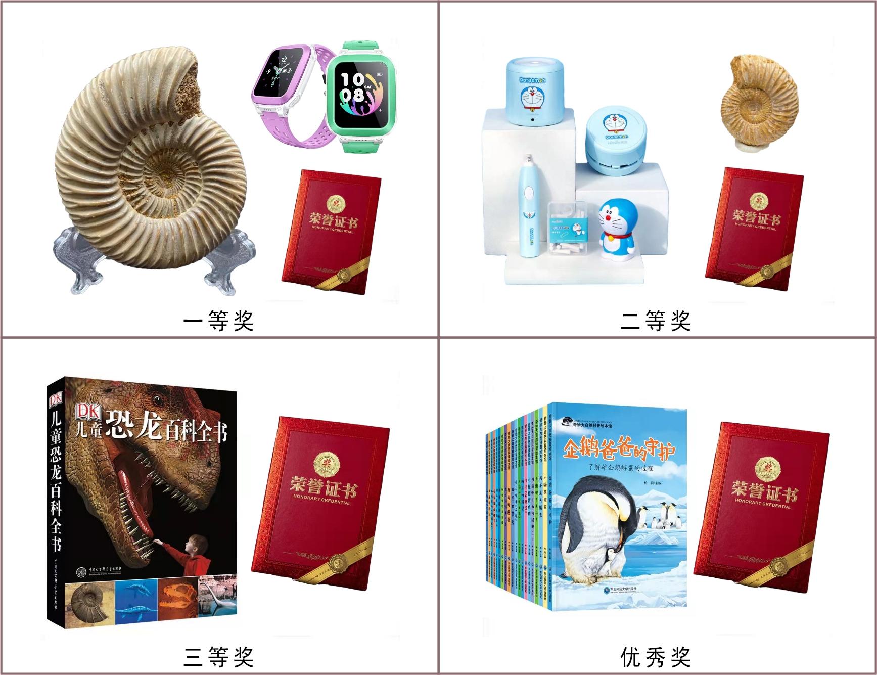 神奇的化石有哪些,神奇的化石之谜