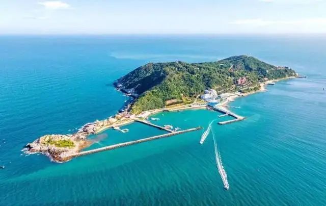 能上天能下海！阳茂高速串起的这些美景美食，一路嗨玩吃到爽