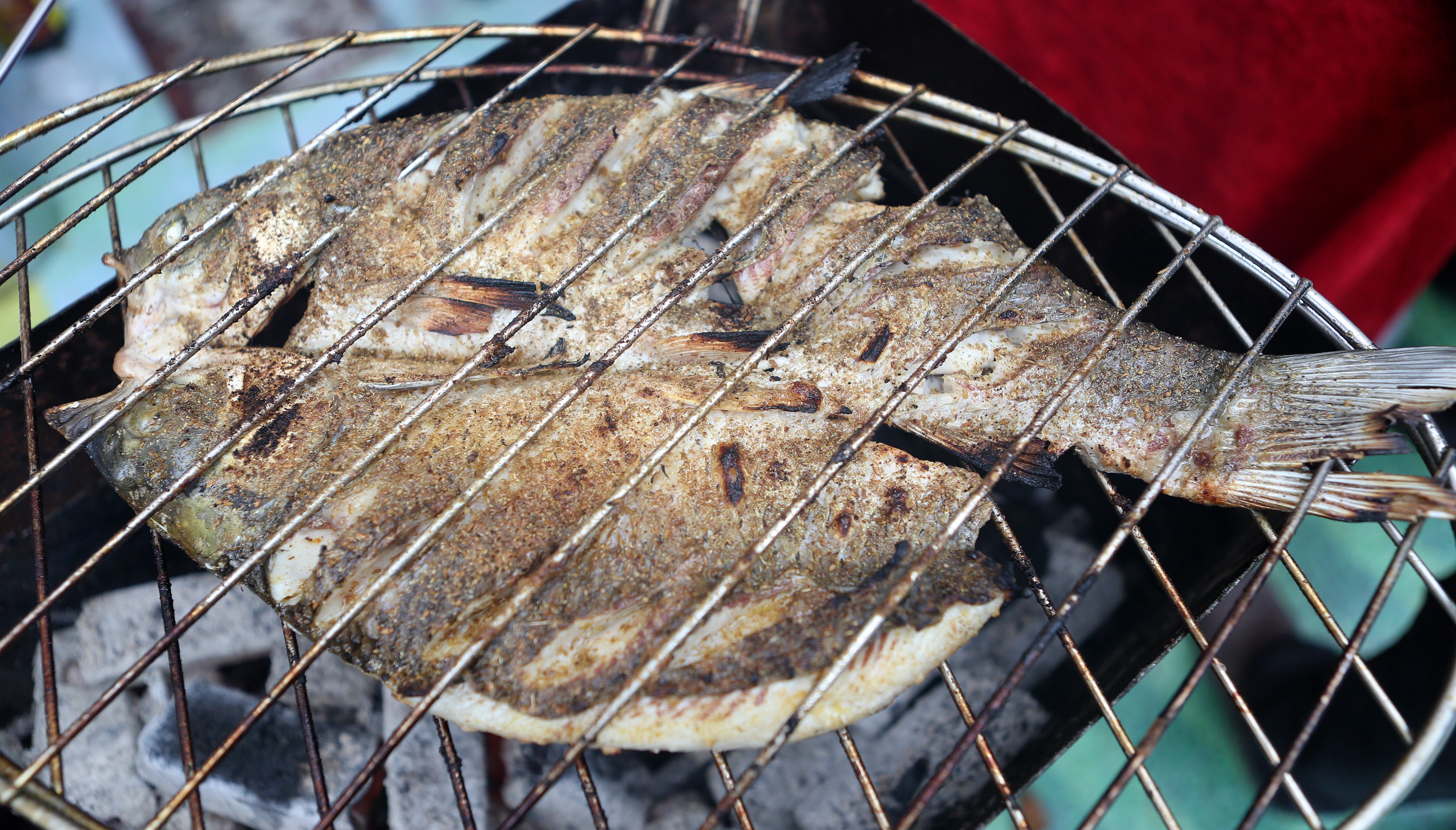 从远古走来完整版,巫山烤鱼来历和典故