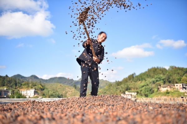 五年砥砺奋进书写振兴华章,五年砥砺创辉煌