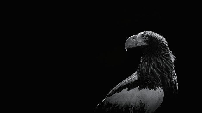 数学封面图设计,封面图怎么设计