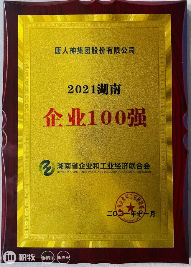 唐人神2022年营收,唐人神2022营收