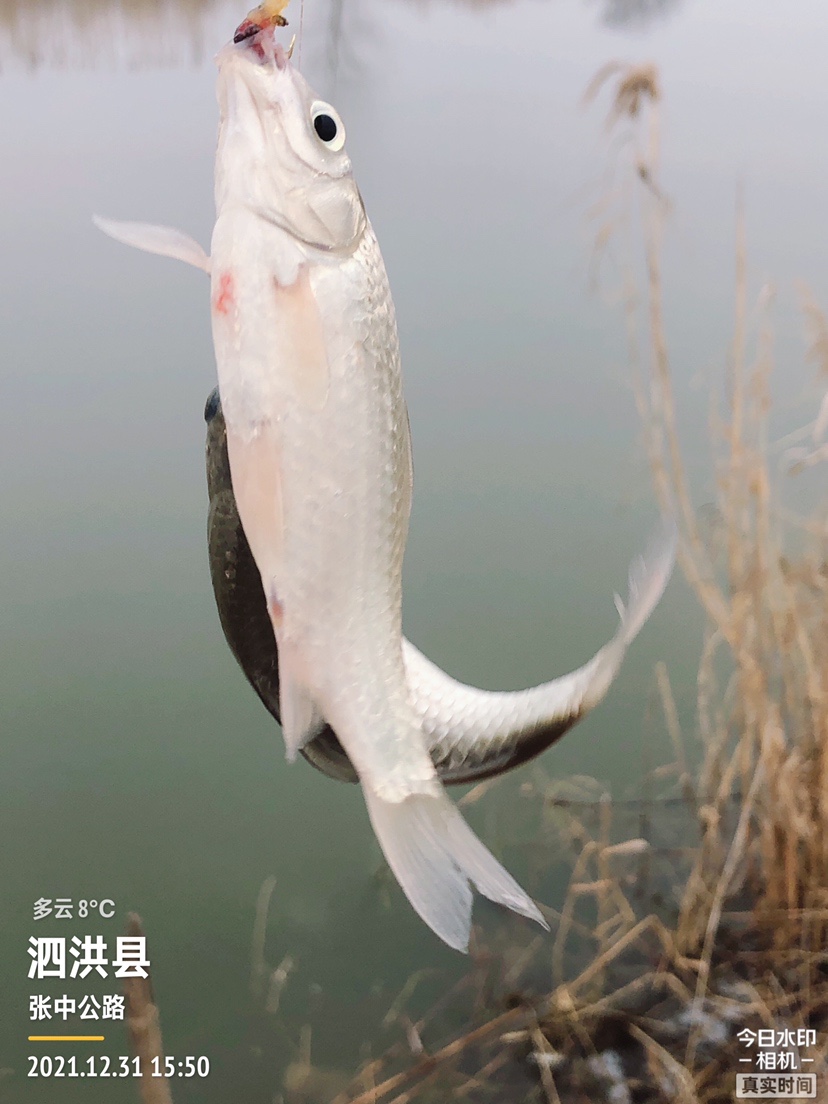 冰钓沉浸式体验,第一次体验冰钓视频