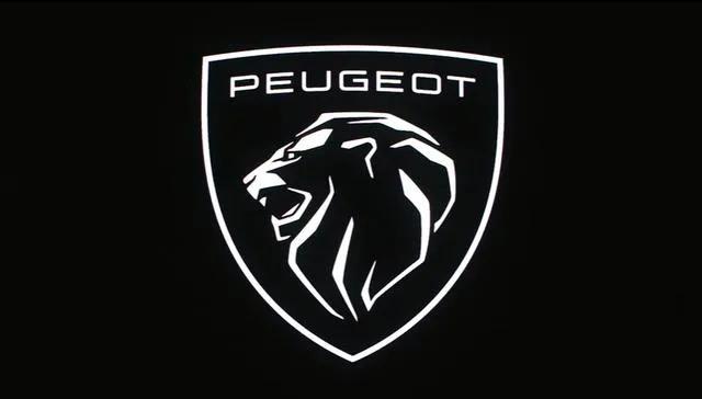 东风标致老款408半轴异响,408减震器异响怎么解决