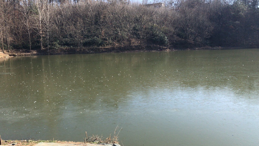 2021打龟爆护同在，未来渔你同行