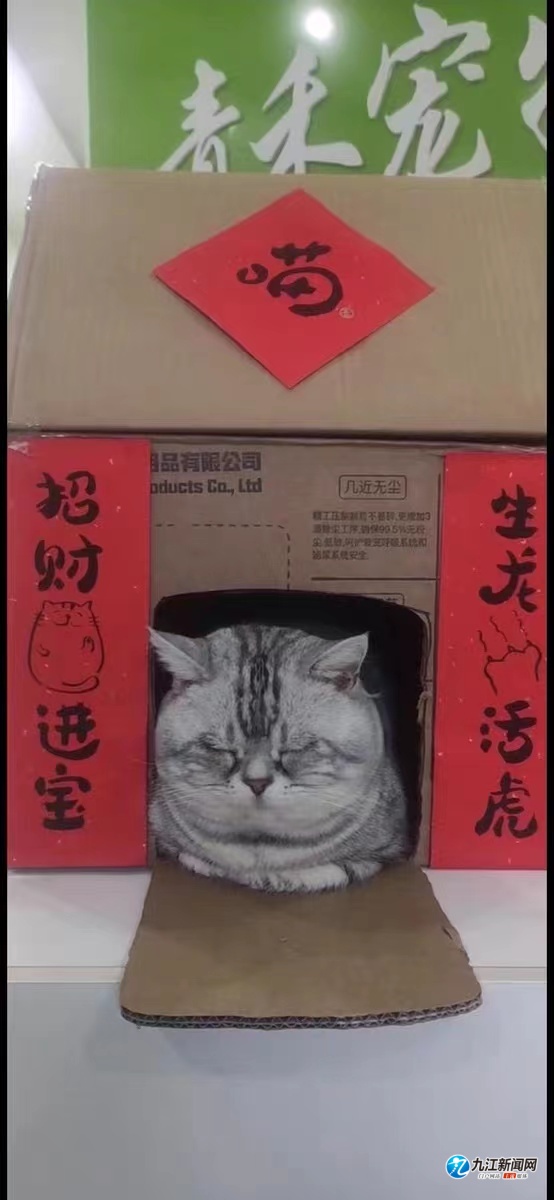 「网络中国节·春节」定制春联“潮”上浔城家门