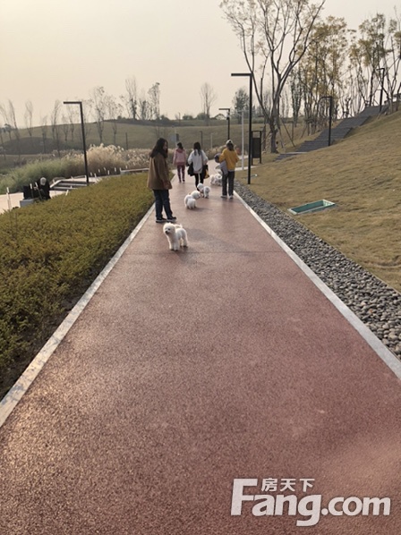 融创曾小丽,融创云鼎城最新进展