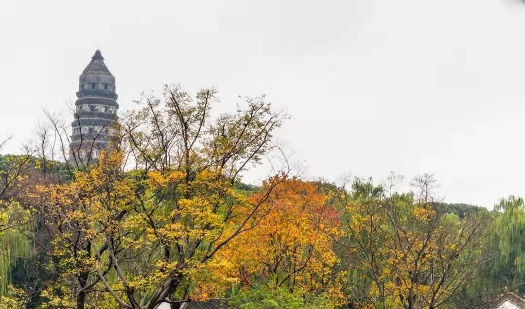 苏州春天旅行推荐,苏州春夏季旅游攻略最新