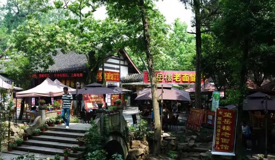 苏州春天旅行推荐,苏州春夏季旅游攻略最新