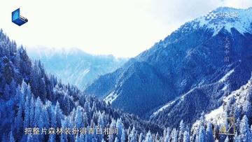 滴！跟着CCTV的镜头打卡*疆新**之春