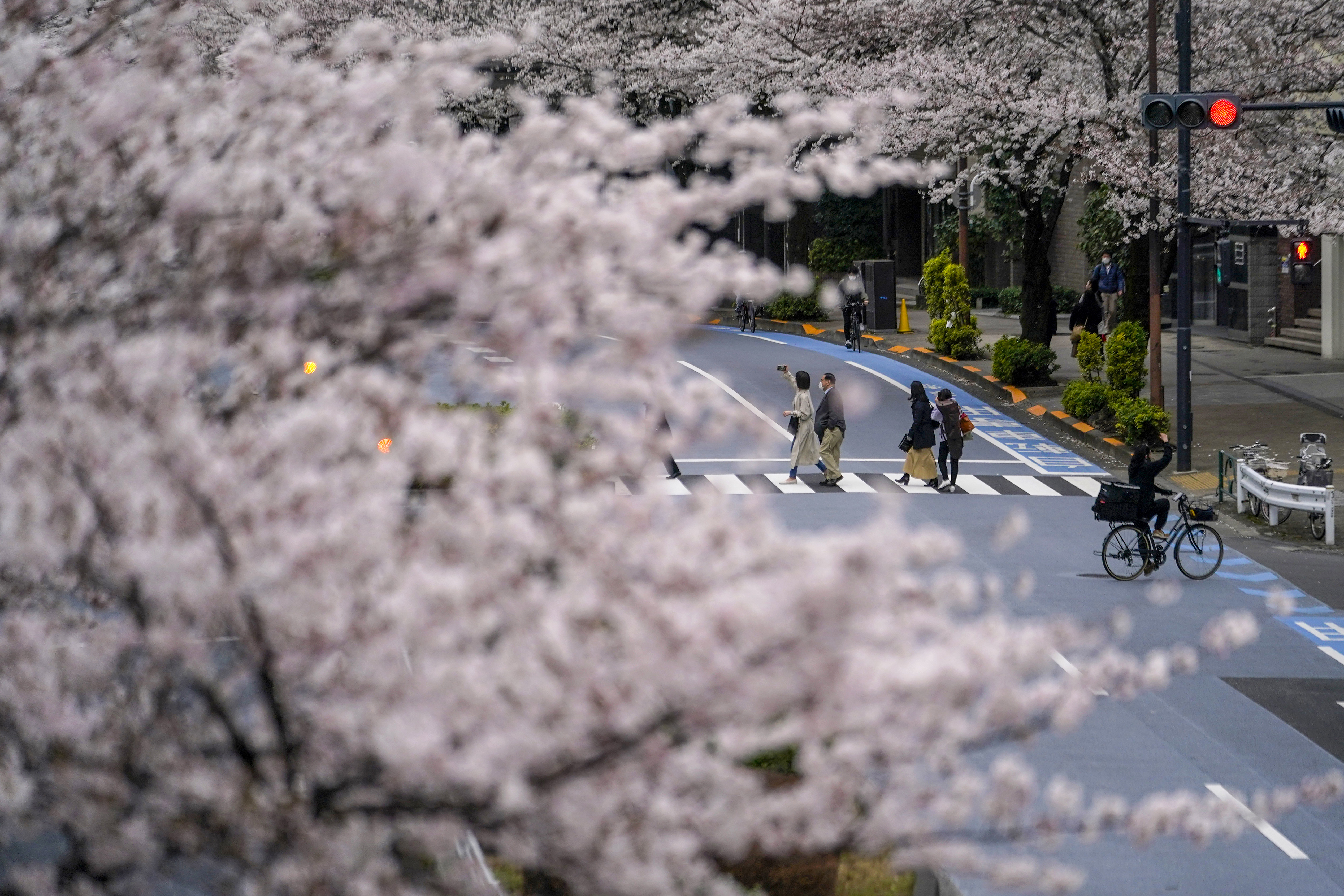 外代一线维也纳,外代一线北美车展