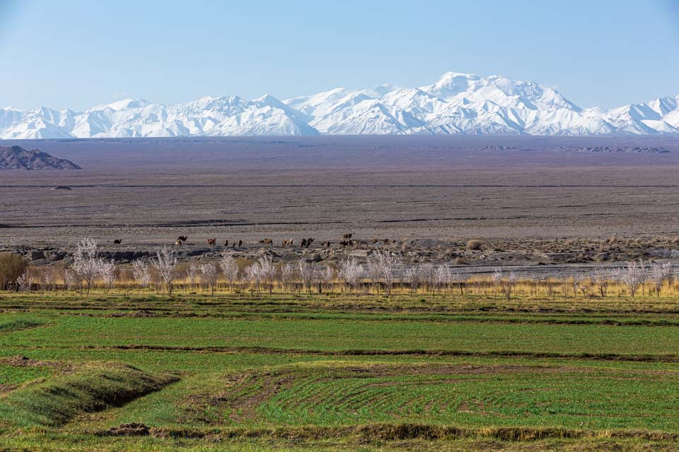 西行纪的简介,西行纪传记
