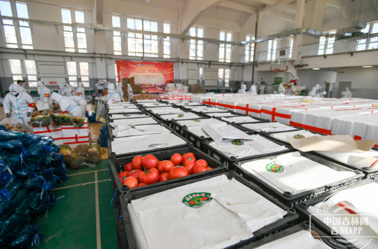 配送中心生鲜蔬菜,配送中心采访视频