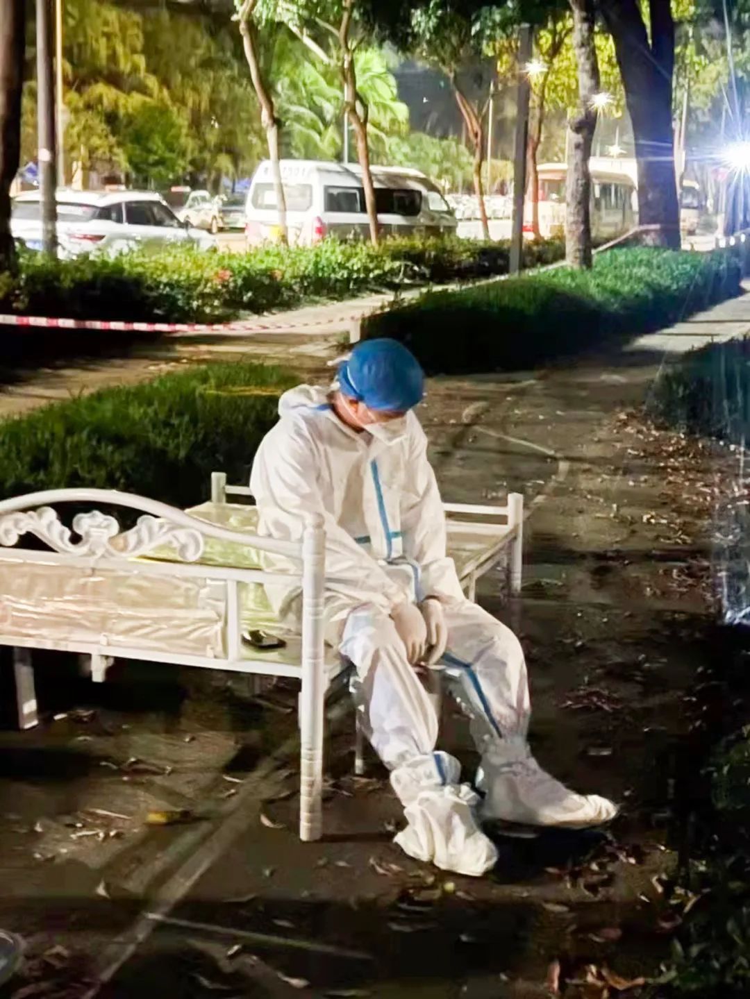 宠物方舱,宠物方舱真相在哪