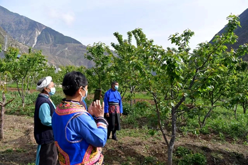 四川产业扶贫乡村振兴,四川全川乡村振兴平台
