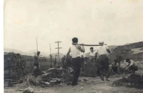 沪明情深！背后的故事不曾忘记