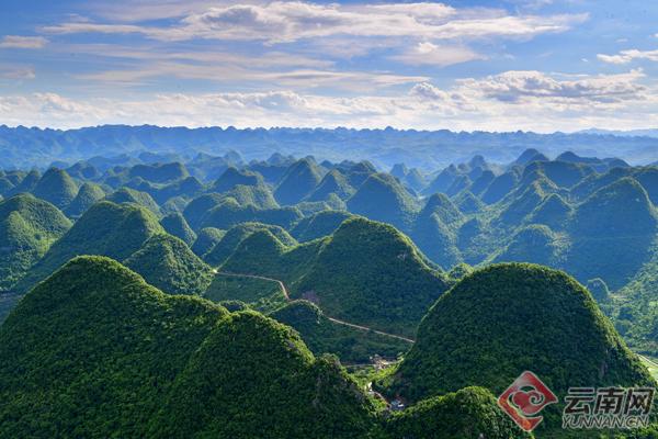 罗平美景图,云南罗平油菜花风景画