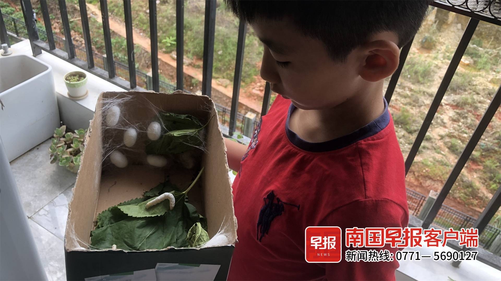 早读七点(2022.5.3)丨孩子交作业费爸妈!南宁不少家长半夜满城跑,就为找这东西