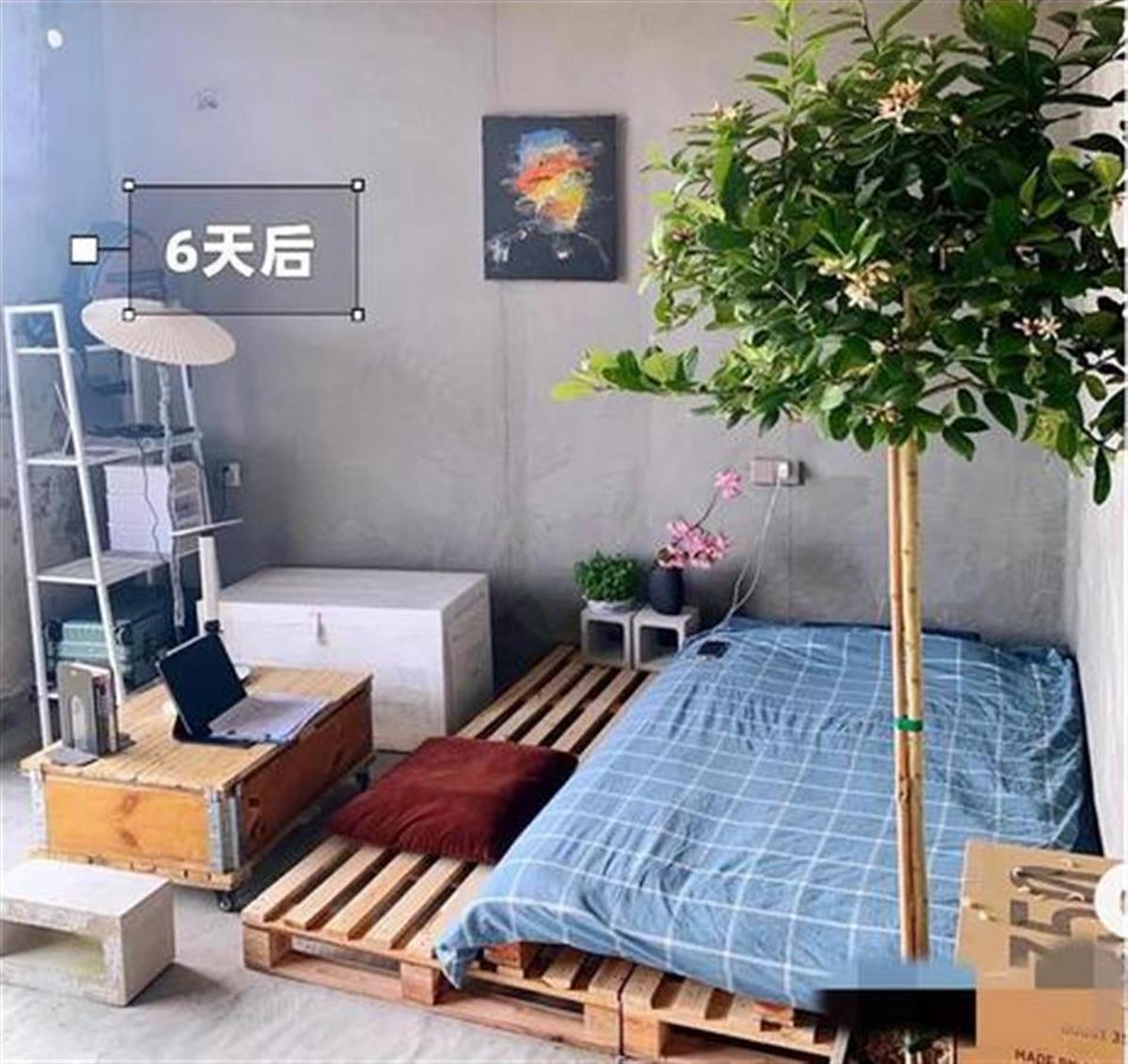 姣涘澂鎴垮皬浼欏瓙鑷繁瑁呬慨,灏忕櫧鑷繁瑁呬慨鎴垮瓙鐪熷疄鎰熷彈