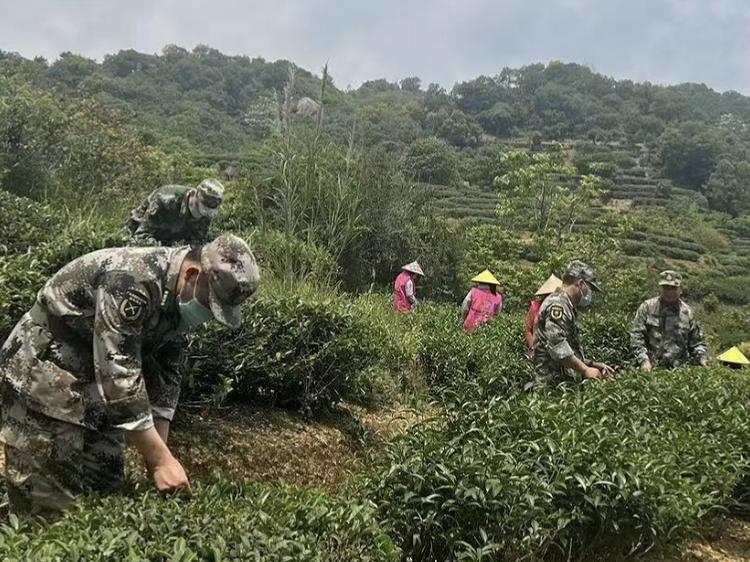 致敬战友们的图片,致敬战友的古诗句