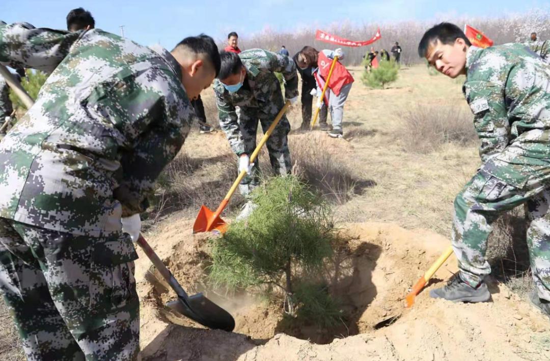 致敬战友们的图片,致敬战友的古诗句