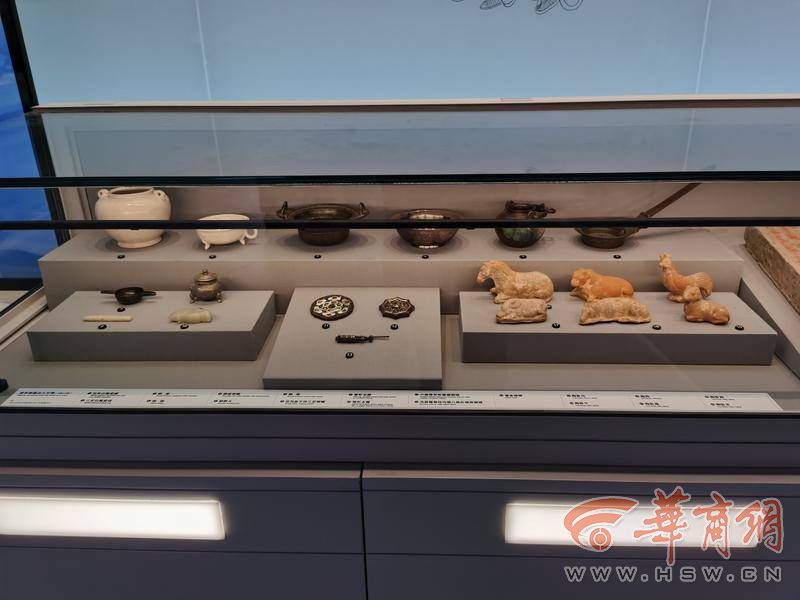 陕西文物探探第14集,陕西文物探探28期