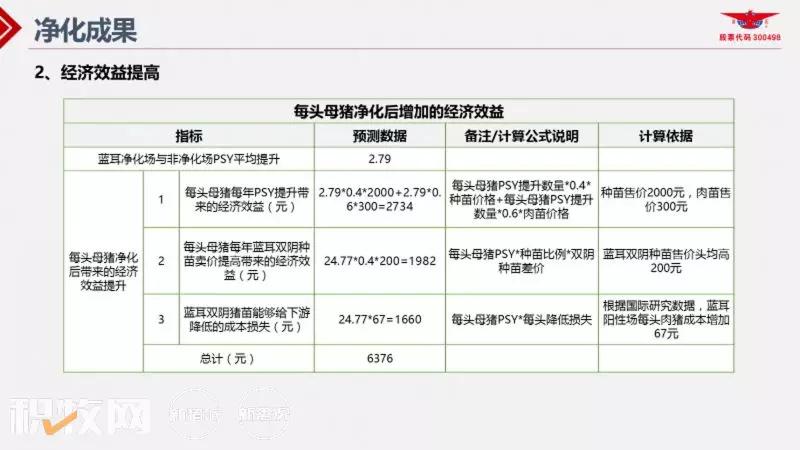 王声会：头均效益提高6376元！中芯种业蓝耳病净化体系详解