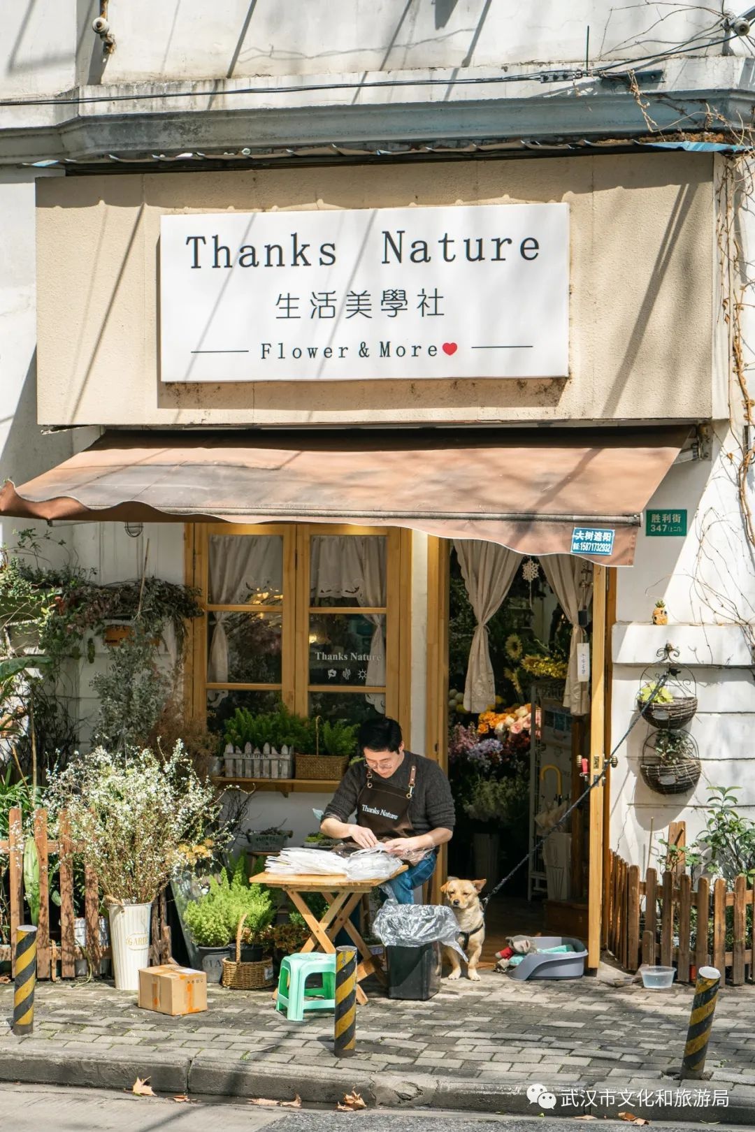 武汉必玩攻略,武汉必玩的地方排行榜