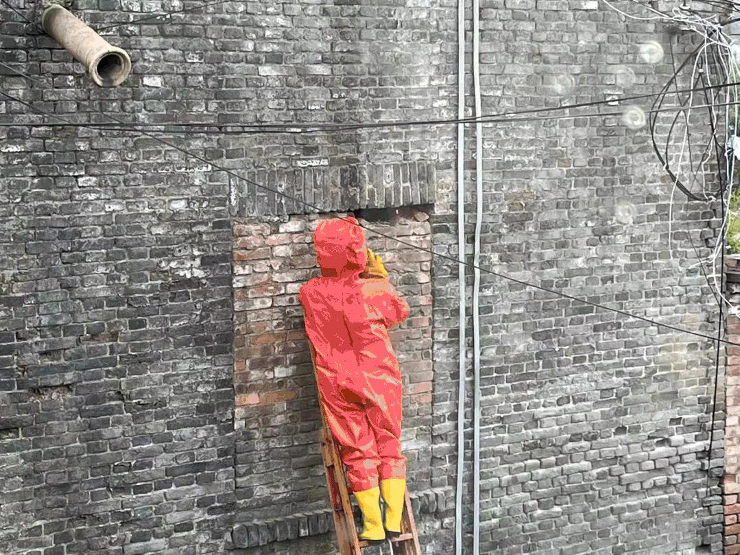 马蜂窝最佳驱蜂方法,马蜂窝的正确驱蜂方法