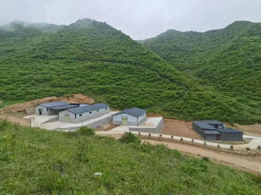 甘肃青脚麻鸡养殖,甘肃青脚麻鸡苗养殖基地