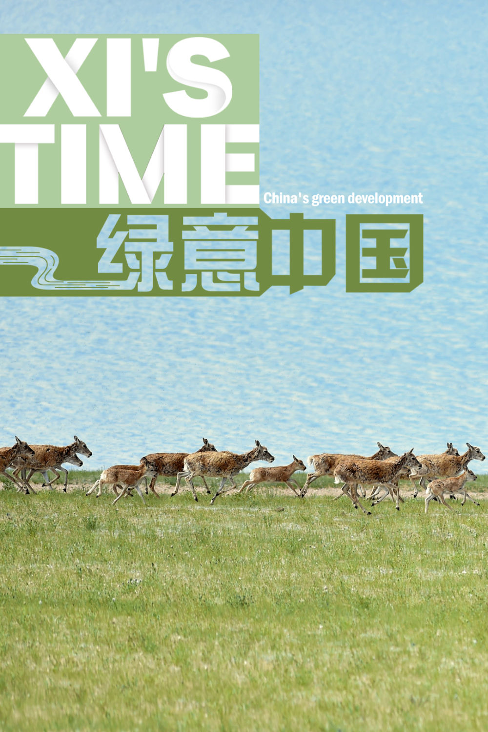 微视频怎么发布有收益,微视频爱情片