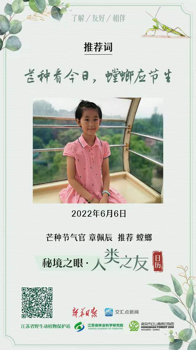 秘境之眼·人类之友日历|芒种看今日，螳螂应节生
