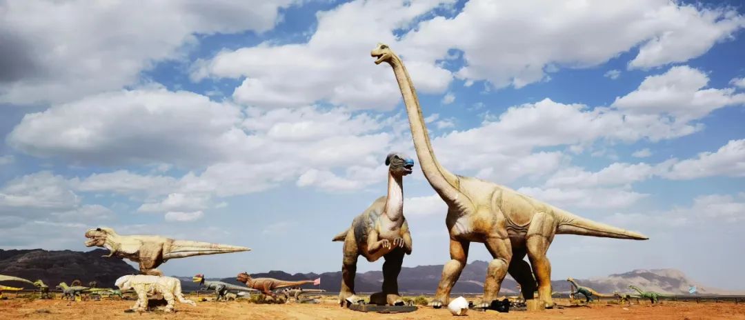 阿克苏一日游攻略最佳路线,到阿克苏旅游有哪些必去的景点