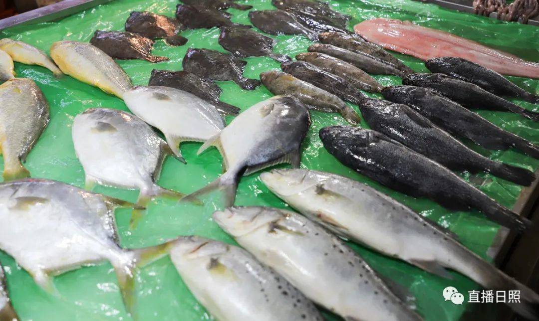 日照现在海鲜价,日照2019海鲜价格表