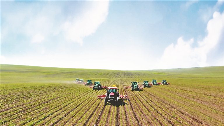 依安蓬勃发展,依安经济高质量发展