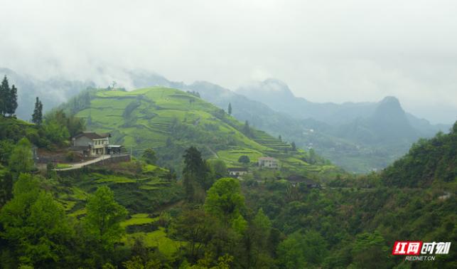 常德避暑胜地亲子游,常德避暑胜地的好地方