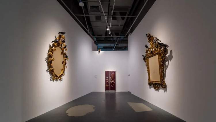 在深圳，我掉进了卡特兰精心设计的“陷阱”……