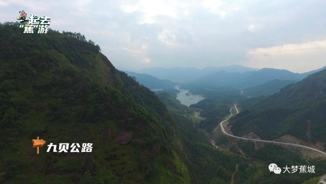 闽东之光｜郑承东：一条路的血色九贝（二）