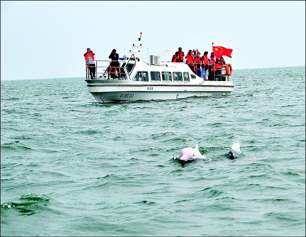 桂林人春节去哪里玩最好,桂林人去哪里旅游便宜又好玩