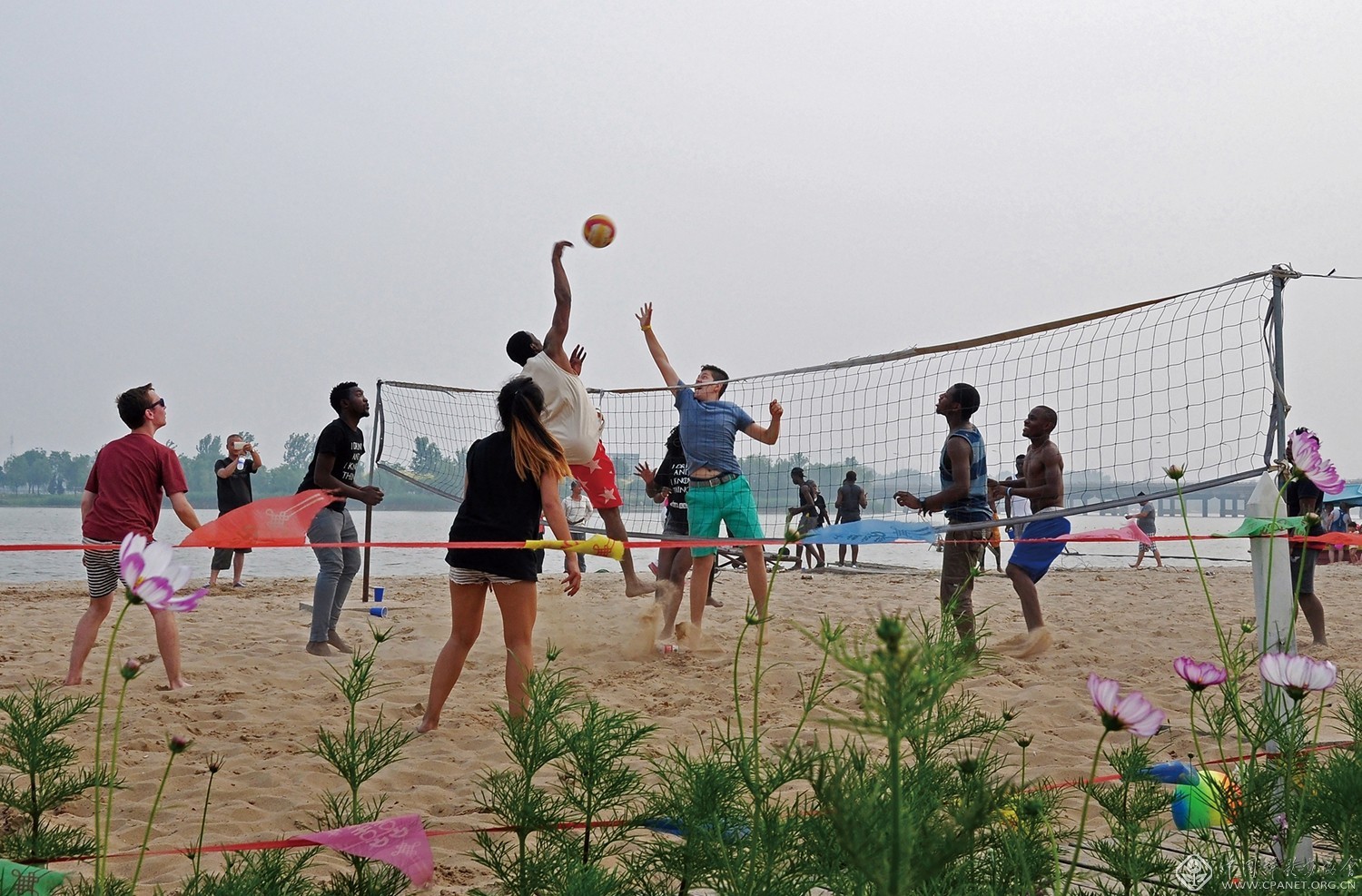 我为群众办实事活动献言献策,石家庄市我为群众办实事擂台赛