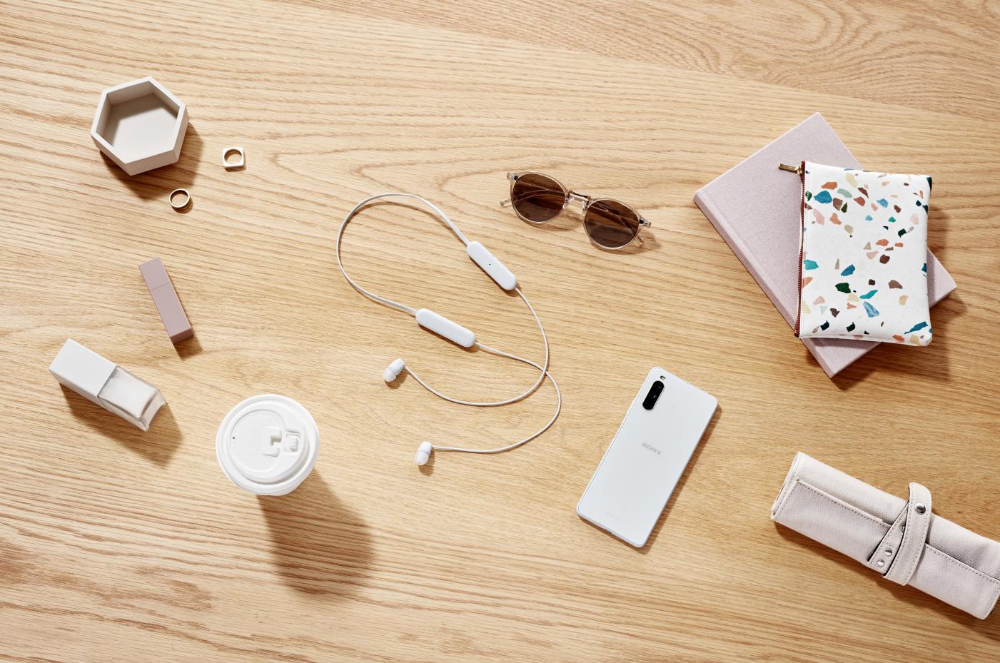 索尼wi-c200和wi-c100哪个好,索尼c100和c200和c310