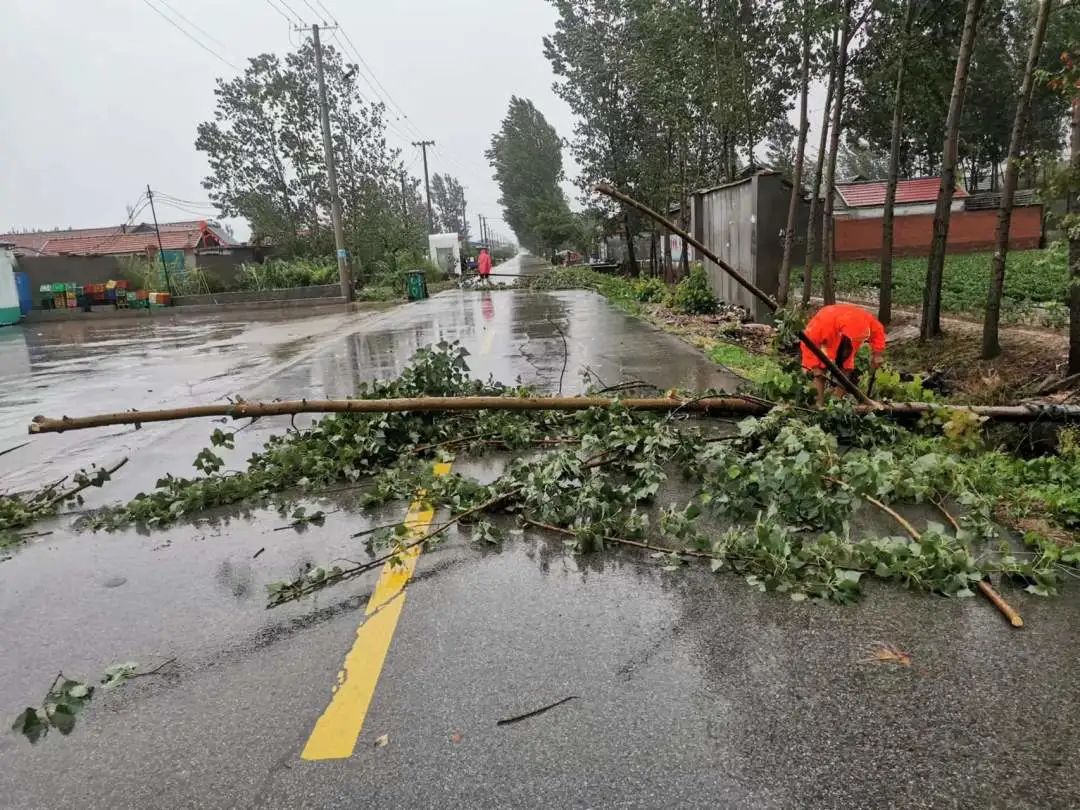 网格员公共服务代办内容,网格内外无小事当好居民贴心人
