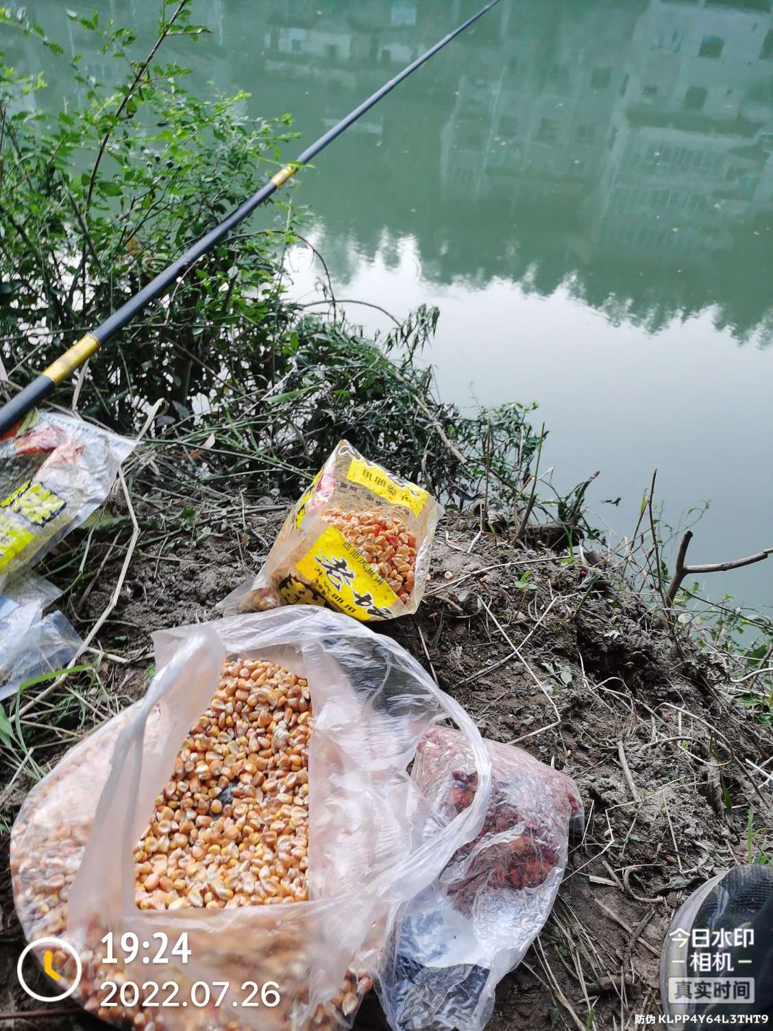 「七月鱼获」骗最憨的巨草！上最憨的洋当