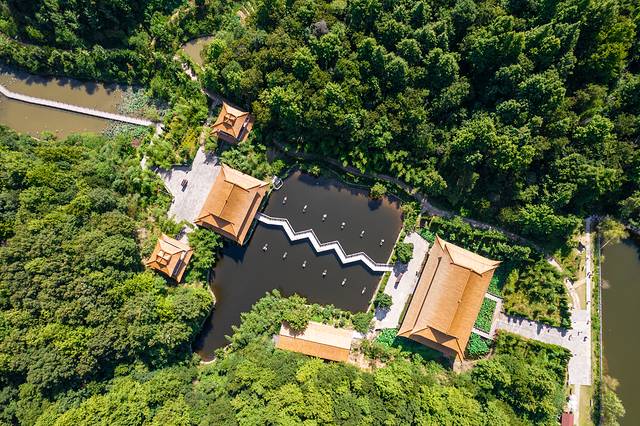 六安自驾游必去十个景点,六安大别山徒步线