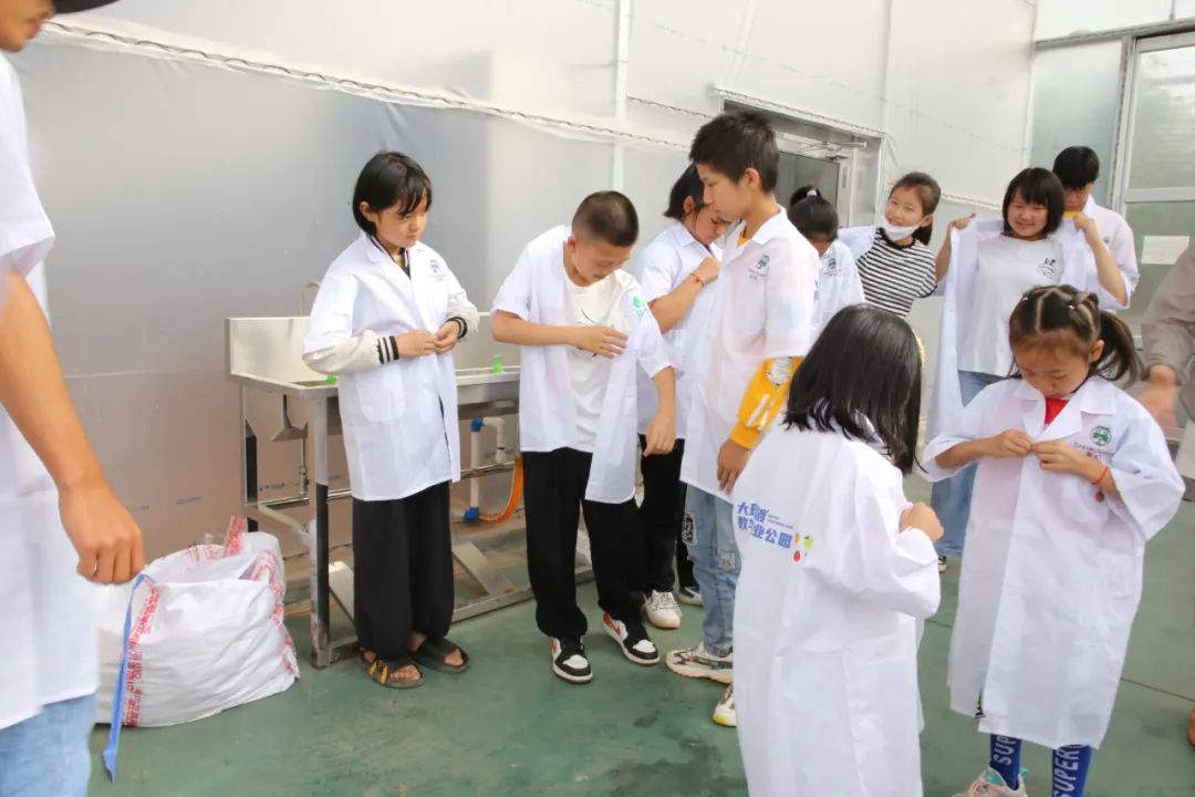 大理弥渡数字农业公园抖音团购,大理弥渡数字农业公园优惠