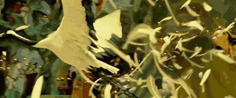 共赏极致东方美学！8月9日1905APP12部大片连播