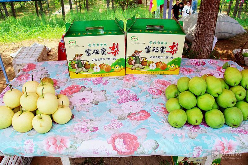 邹平市台子镇十公里水果长廊奉上“甜蜜盛宴”