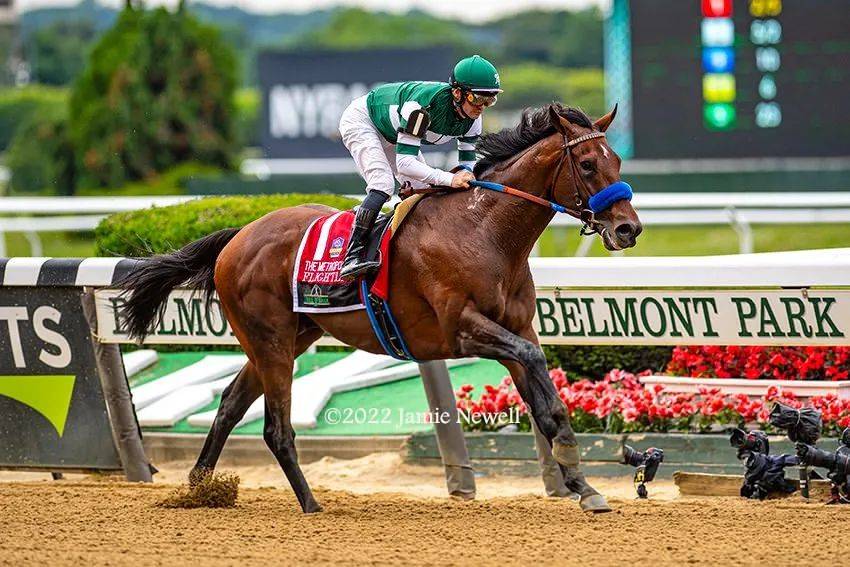 顶级马匹排名,世界排名前十的最强壮马匹