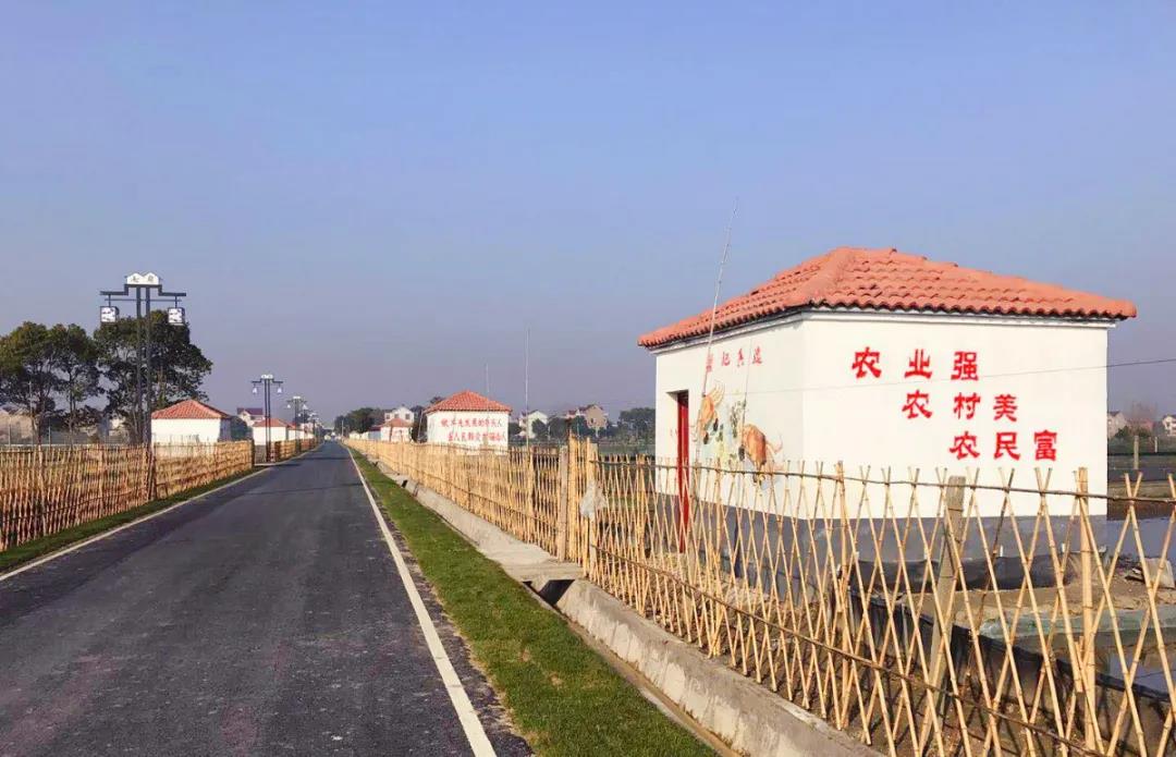 共同富裕概念龙头是哪个,共同富裕龙头