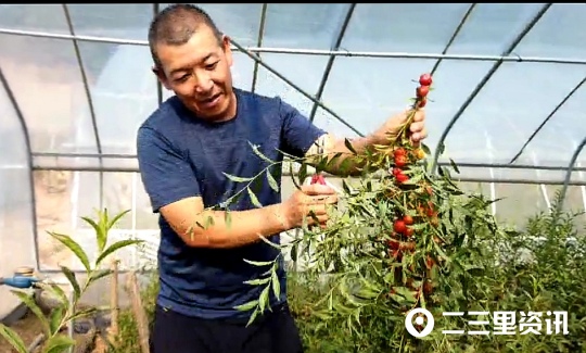 涔℃潙鎸叴妯辨,涔℃潙鎸叴閽欐灉